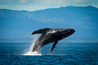 In Awe